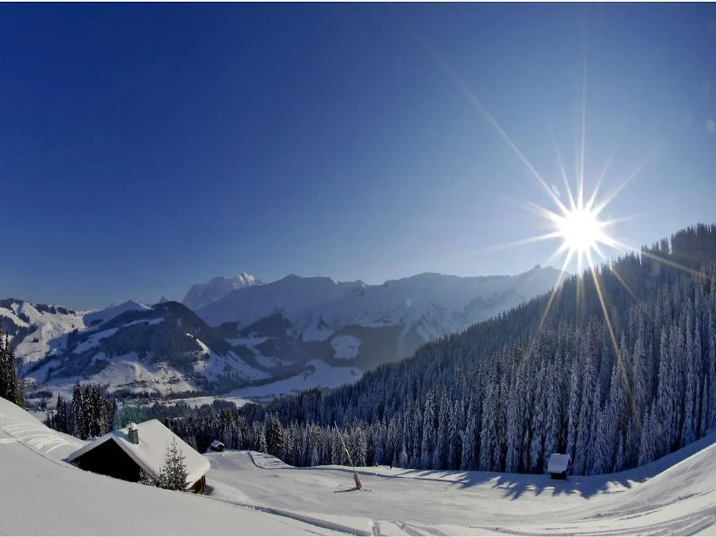 Apartment Appartement Des Cretets Megeve